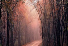 虎扑体育：2025中国太平中国足协女超联赛：球市火爆、竞争升级助亚冠取突破.